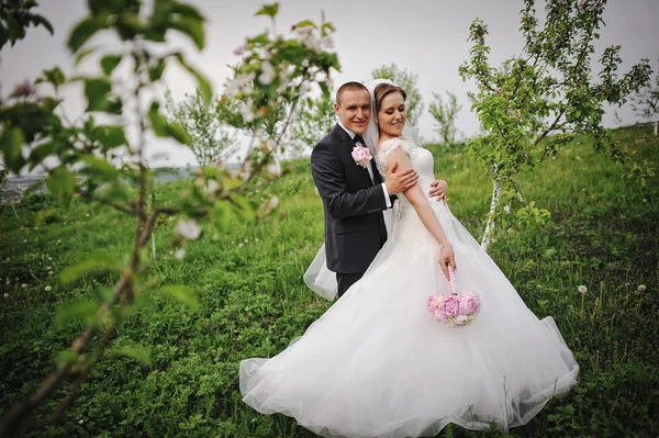 Весільна пара в саду — стокове фото