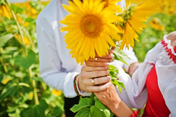 Wedding beautiful couple in traditional dress at the sunflower — Stock Photo, Image