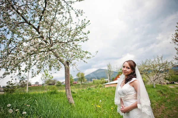 Mariée près de l'arbre à fleurs — Photo