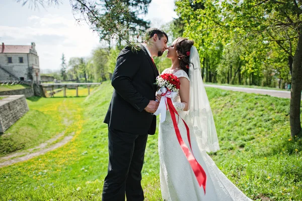 El beso de la pareja de boda — Foto de Stock