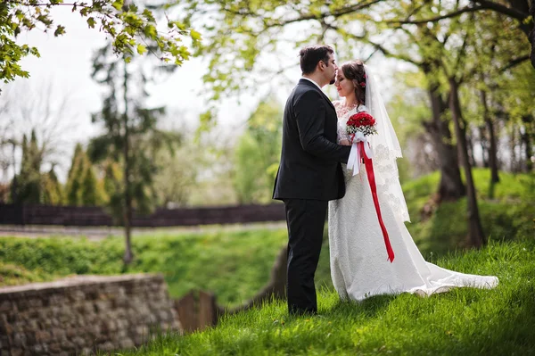 Pareja de boda, besos en la frente — Foto de Stock