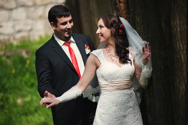 Wedding couple near old wooden fence — Stock Photo, Image