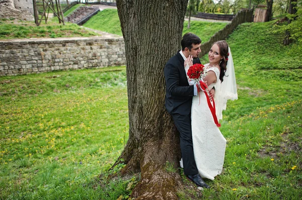 Wedding couple stay down tree — Stock Photo, Image
