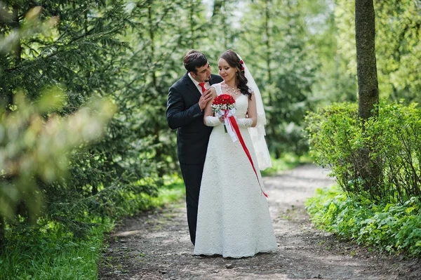 Wedding couple near pine trees — Stock Photo, Image