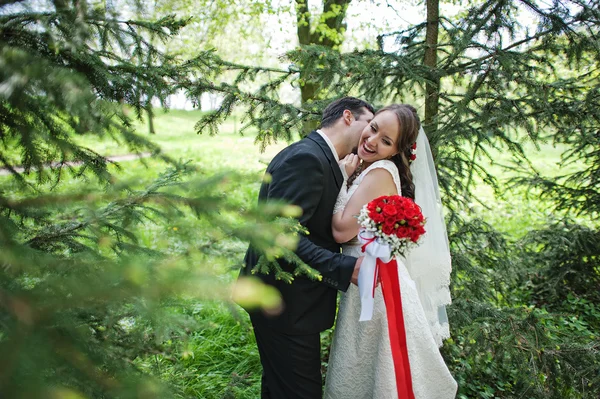 Wedding couple near pine trees — Stock Photo, Image