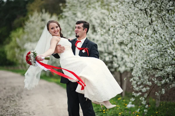 春の開花と花さくらんぼの木の結婚式のカップル — ストック写真