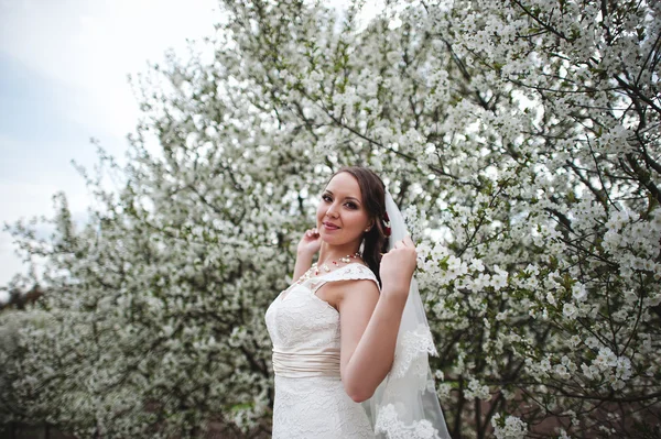 Mariée à la floraison printanière et cerisiers en fleurs arbre — Photo