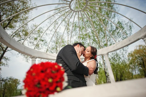 Wedding couple under the arch — Stock Photo, Image
