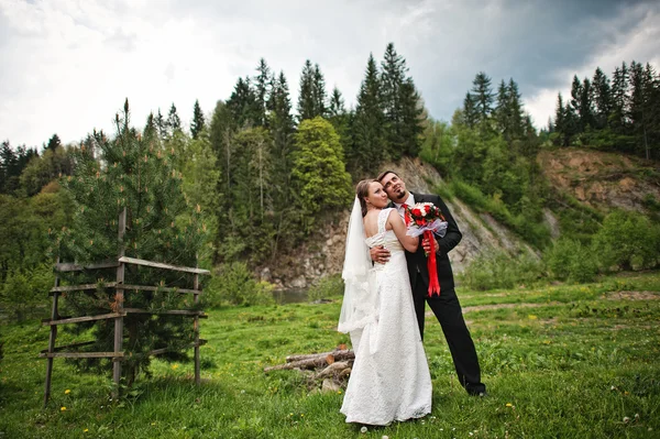 Свадебная пара, пейзаж — стоковое фото
