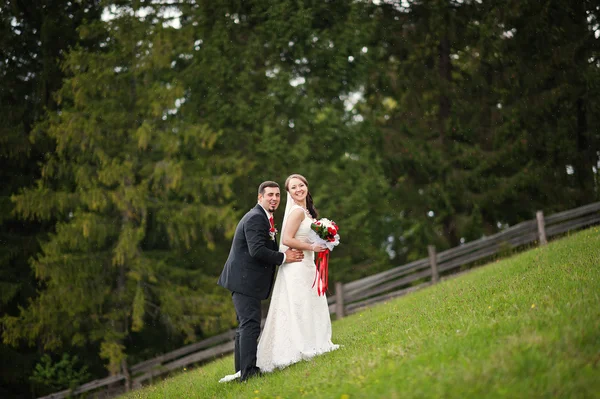 Casal de casamento nas montanhas dos Cárpatos — Fotografia de Stock