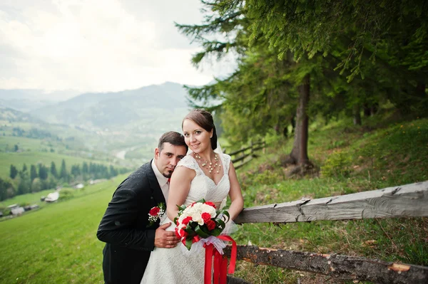 Casal de casamento nas montanhas dos Cárpatos — Fotografia de Stock