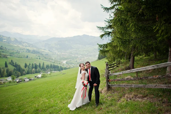 Pareja de boda en las montañas Cárpatos — Foto de Stock