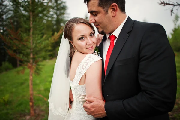 Casamento casal close up — Fotografia de Stock