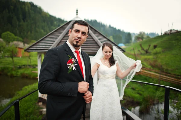 Casal de casamento na pequena ponte — Fotografia de Stock