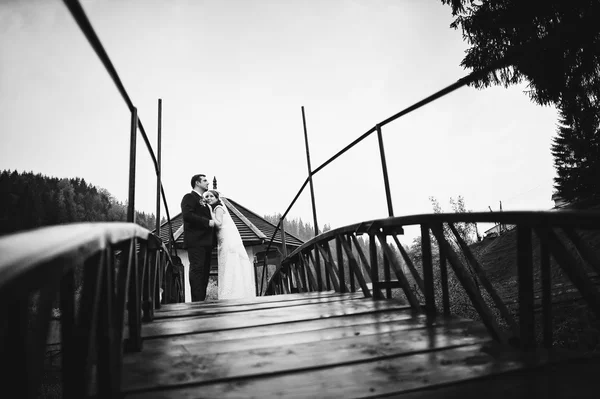 Свадебная пара на маленьком мосту — стоковое фото