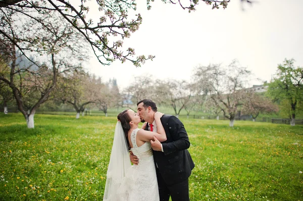 Casamento casal dançando sob a chuva — Fotografia de Stock