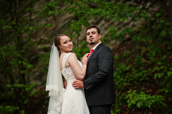 Matrimonio coppia — Foto Stock