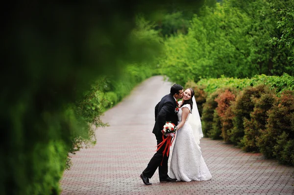 緑の路地で結婚式のカップル — ストック写真
