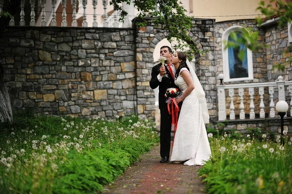 Wedding couple blowing on a dandelion — Stock Photo, Image