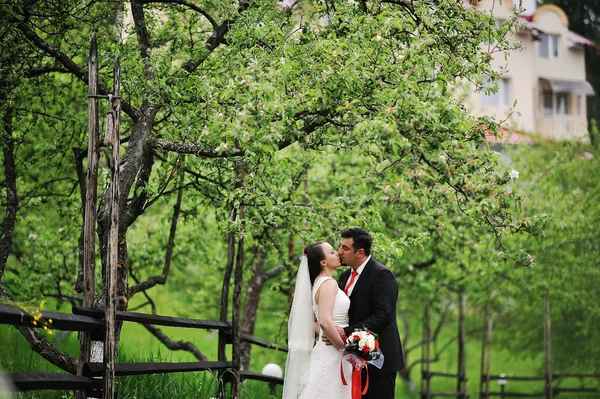 Hochzeitspaar — Stockfoto