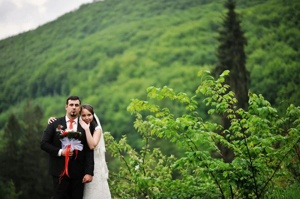 Wedding couple stay on hill of carpathian mountain — Stock Photo, Image