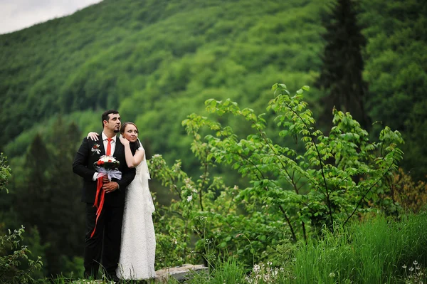 Wedding couple stay on hill of carpathian mountain — Stock Photo, Image