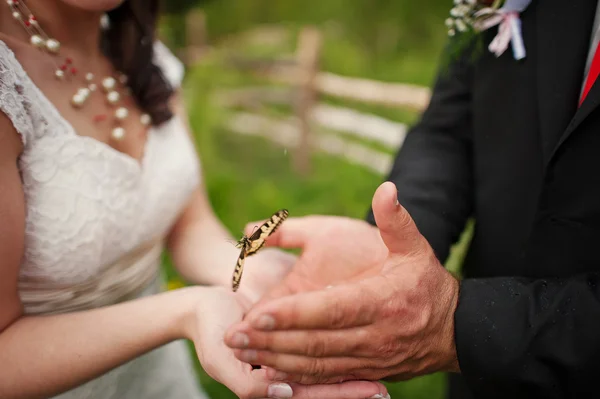 Mariage couple dans les mains papillon — Photo