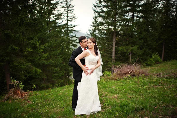 Casamento casal de mãos dadas em uma floresta — Fotografia de Stock