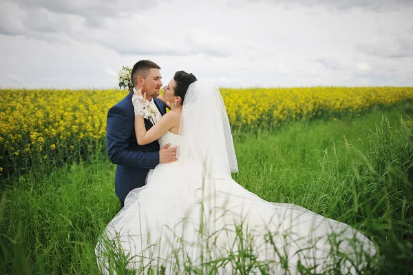 Beautiful wedding couple at the field of yellow flowers — Stock Photo, Image