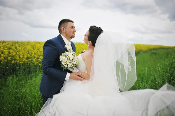 Hermosa pareja de boda en el campo de las flores amarillas — Foto de Stock