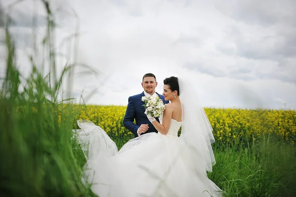 Beautiful wedding couple at the field of yellow flowers — Stock Photo, Image