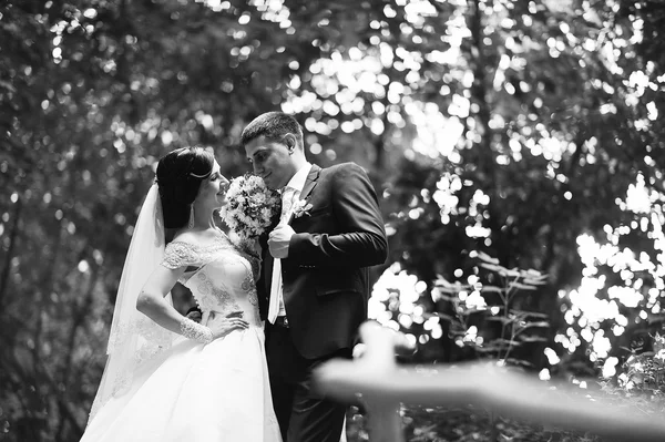 Feliz pareja de boda en el bosque — Foto de Stock