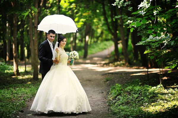 Wedding couple at the green forest under umbrella — Stock Photo, Image