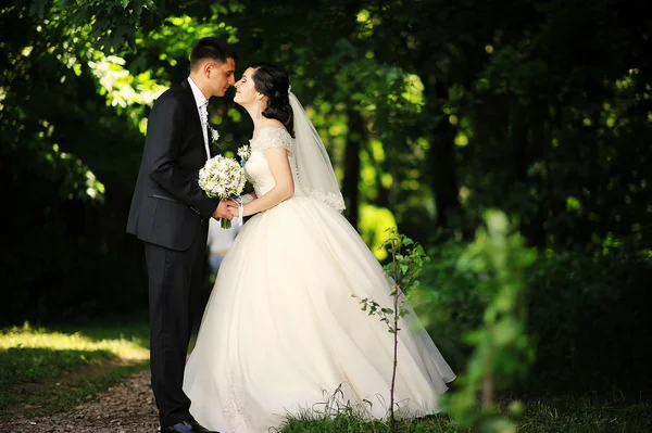 Happy wedding couple at the forest — Stock Photo, Image