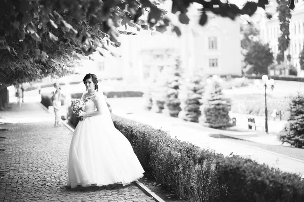 Brunette bride — Stock Photo, Image