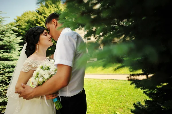 Casamento casal abraçar de perto — Fotografia de Stock