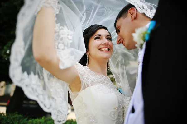 Pareja de boda bajo el velo — Foto de Stock