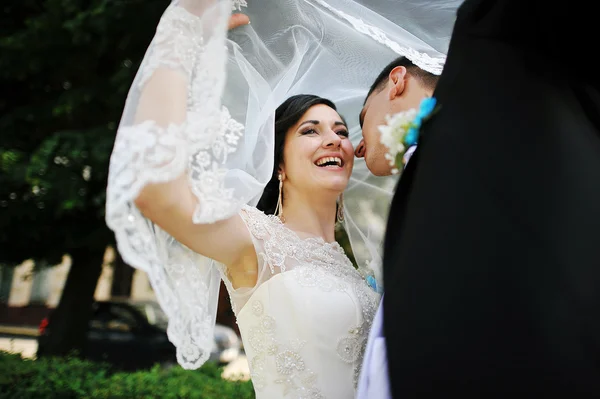 Wedding couple under the veil — Stock Photo, Image