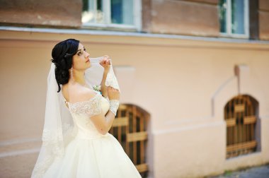 Güzel esmer gelin pozu