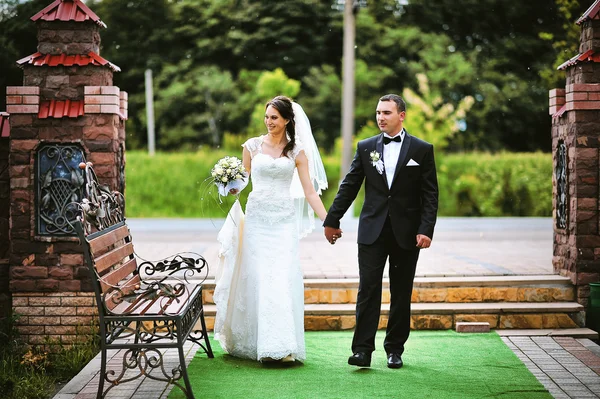 Caminando recién casados en la alfombra verde —  Fotos de Stock