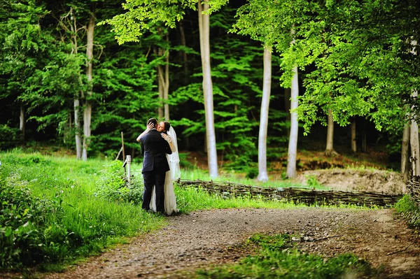 Невеста обнимает жениха в лесу — стоковое фото