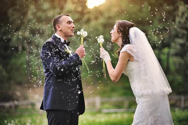 Wedding couple blowing on a dandelion — Stock Photo, Image