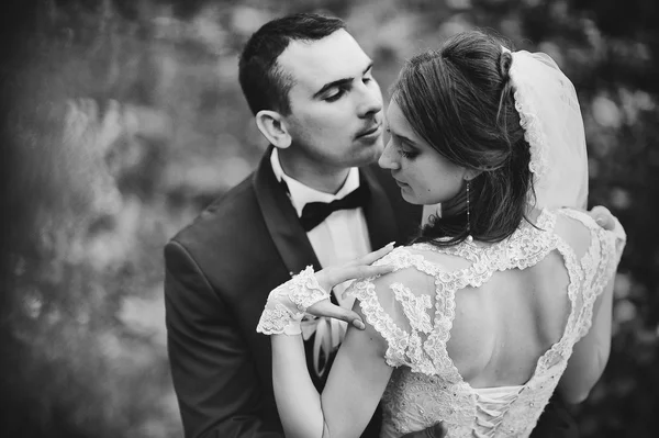 Beauty fashion wedding couple — Stock Photo, Image