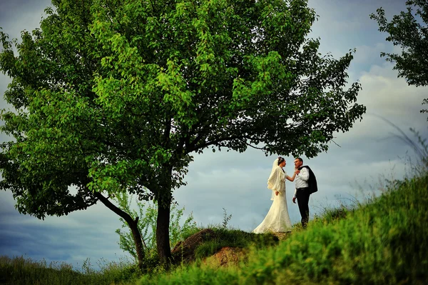 Hochzeitspaar unter Baum — Stockfoto