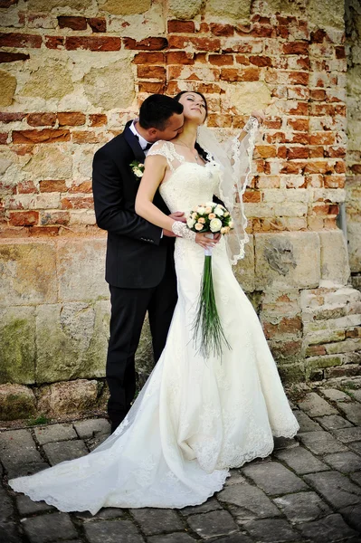 Kissing groom and bride — Stock Photo, Image