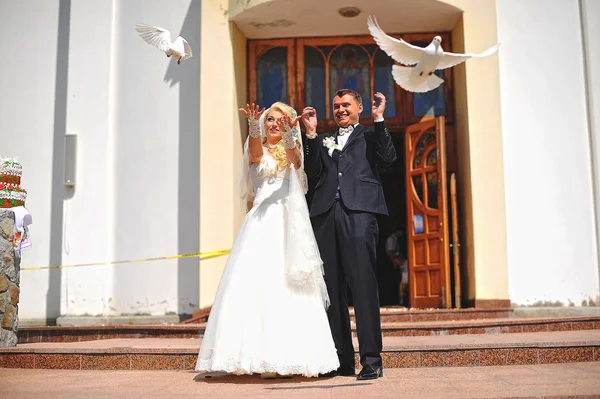 Holubice na svatbě — Stock fotografie