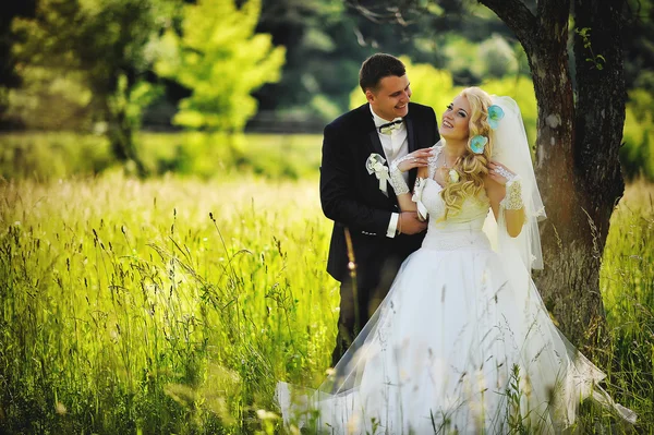 Joven hermosa boda pareja en la naturaleza — Foto de Stock