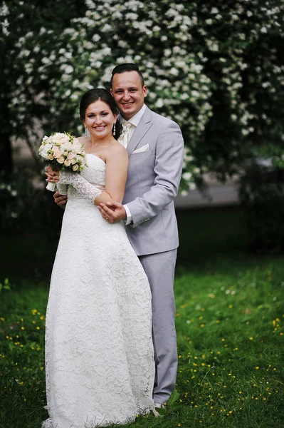 Bröllopsparet kär nära vita blommor träd — Stockfoto