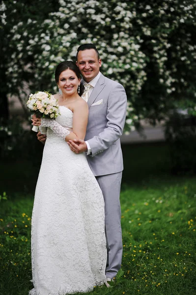 Casamento casal apaixonado perto de árvores de flores brancas — Fotografia de Stock