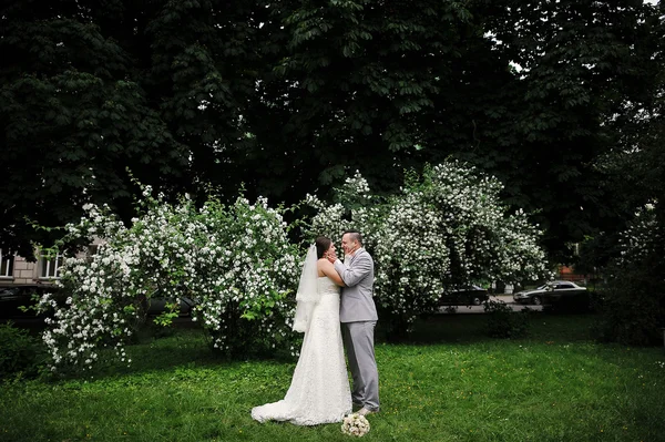 Wedding couple in love near white flowers trees — Stock Photo, Image